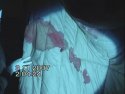 16973_1207134267447_1501399242_30491204_4312600_n.jpg