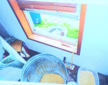 window2.png