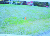 Yard2.png Yard2.png