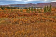Alaska September 2022 209.jpg