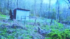 Shed.jpg