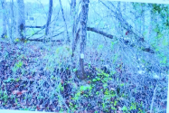 Motion.png