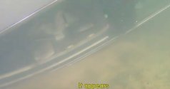 AD6EA83E-C7B9-4295-8858-10AFF345D815.jpeg