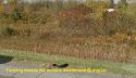 Fencing beside I94.jpg