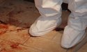 In Blood 2.jpg