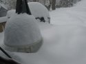 snow11am 002.jpg