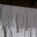 Thunder Snow - 2.jpg