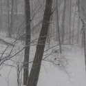 Thunder Snow - 1.jpg