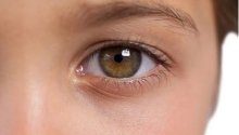 Hazel eye 2.jpg