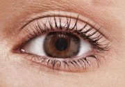 Brown eye 1.JPG