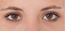 Brown eye 2.JPG