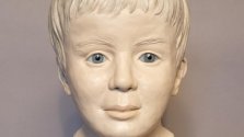 221118_ppobn_kopf_vorne_fluvius.jpg