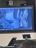 arrest.jpg