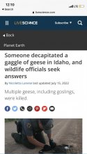 1A27D266-3D0B-42F8-99E1-B41409F57837.jpeg