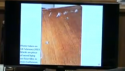 center panel on bathroom floor 1.png