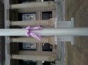 Teghan's Ribbon.jpg