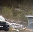 car2.jpg