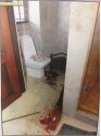 plank in WC w: bullet hole.jpg