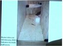sm piece of door in entrance.jpg