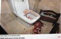 ToiletBowlMagRack.jpg