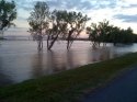 RIVER 2011-3.jpg