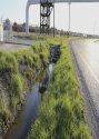ditch 2014.jpg