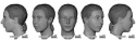 461ufpa new reconstruction.png