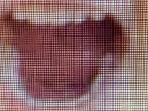 1678857391556.png