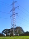 2953685_00d89916.jpg