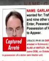 garland.jpg