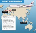 967583-mh17-desktop-map.jpg