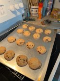 IMG_9569.jpeg
