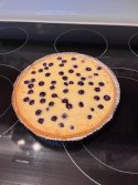 IMG_9593.jpeg