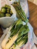 IMG_9715.jpeg