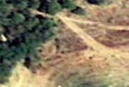 9:2010zoomed.jpg