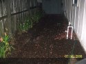 Ants side yard july 17.jpg