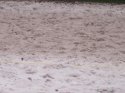 100_0462.jpg