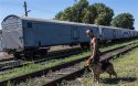 Ukraine_body_train_2981194b.jpg