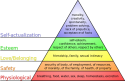 450px-Maslow's_hierarchy_of_needs.svg.png