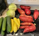 IMG_0286.jpeg