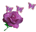 1687741967083.png
