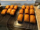 IMG_0407.jpeg