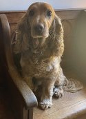 IMG_6386.jpeg