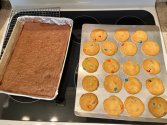 IMG_0556.jpeg