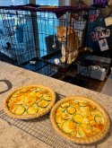 IMG_0567.jpeg