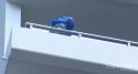 Clip_17.jpg