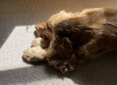 IMG_0304.jpeg