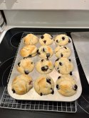 IMG_0726.jpeg