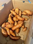 IMG_0784.jpeg
