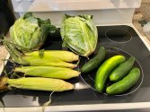 IMG_0783.jpeg
